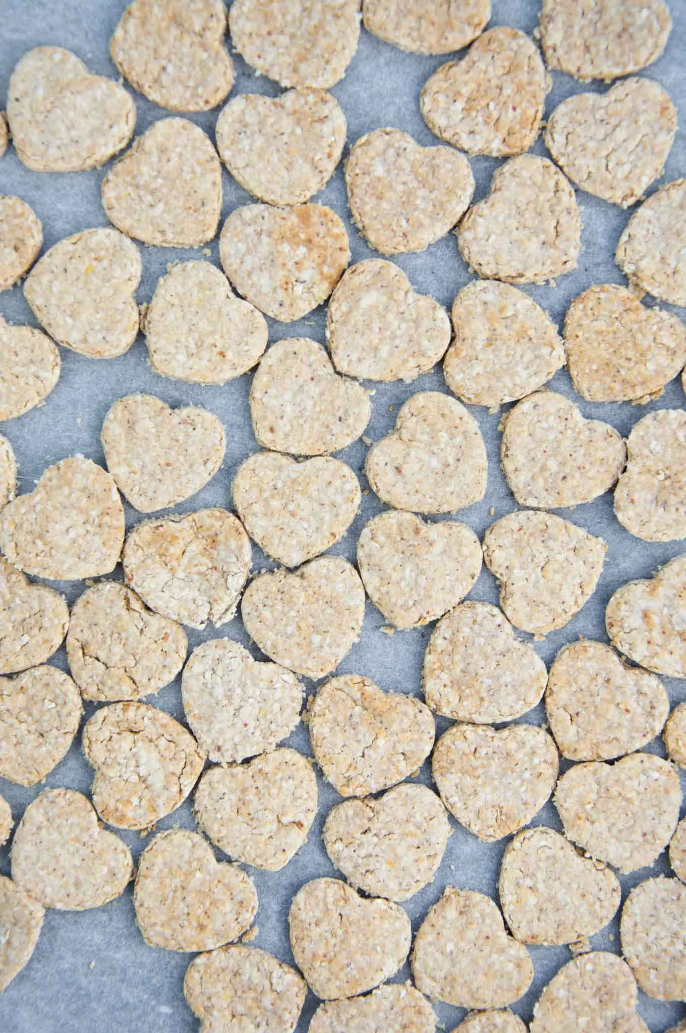 Peanut Butter Dog Treat on a baking tray