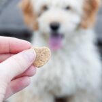 Peanut Butter Dog Treat