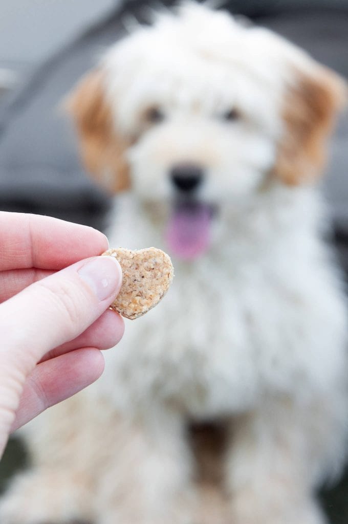 Peanut Butter Dog Treat