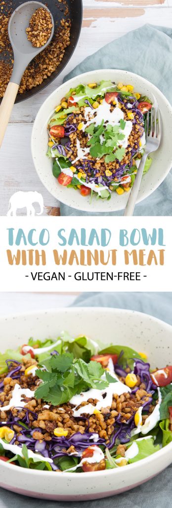 Vegan Taco Salad Bowl with Walnut Meat