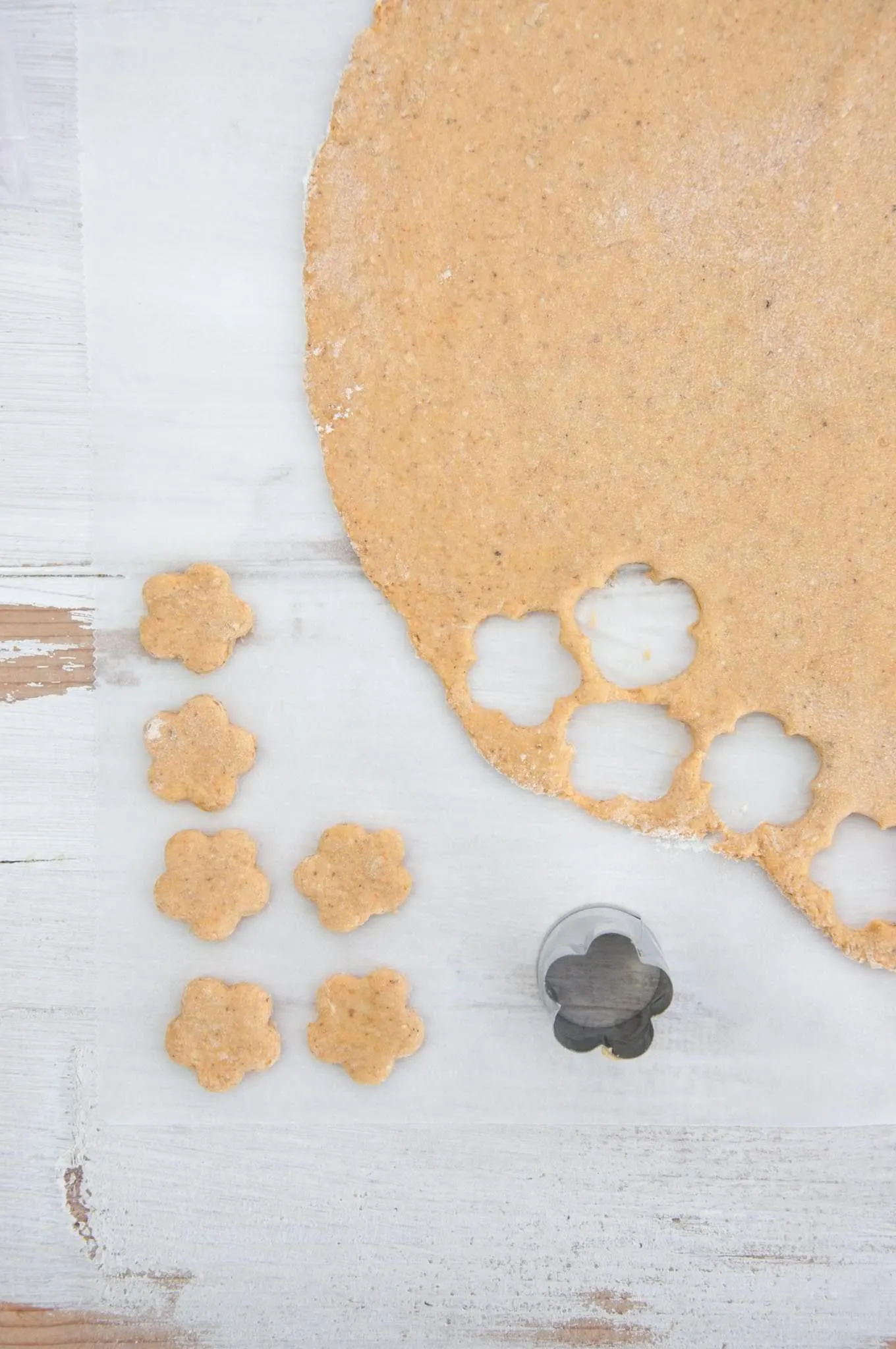 Carrot Dog Biscuits