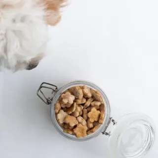 Carrot Dog Biscuits