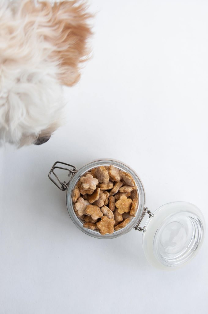 vegan dog biscuits