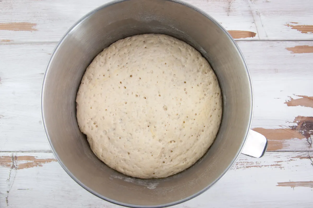 risen pizza dough