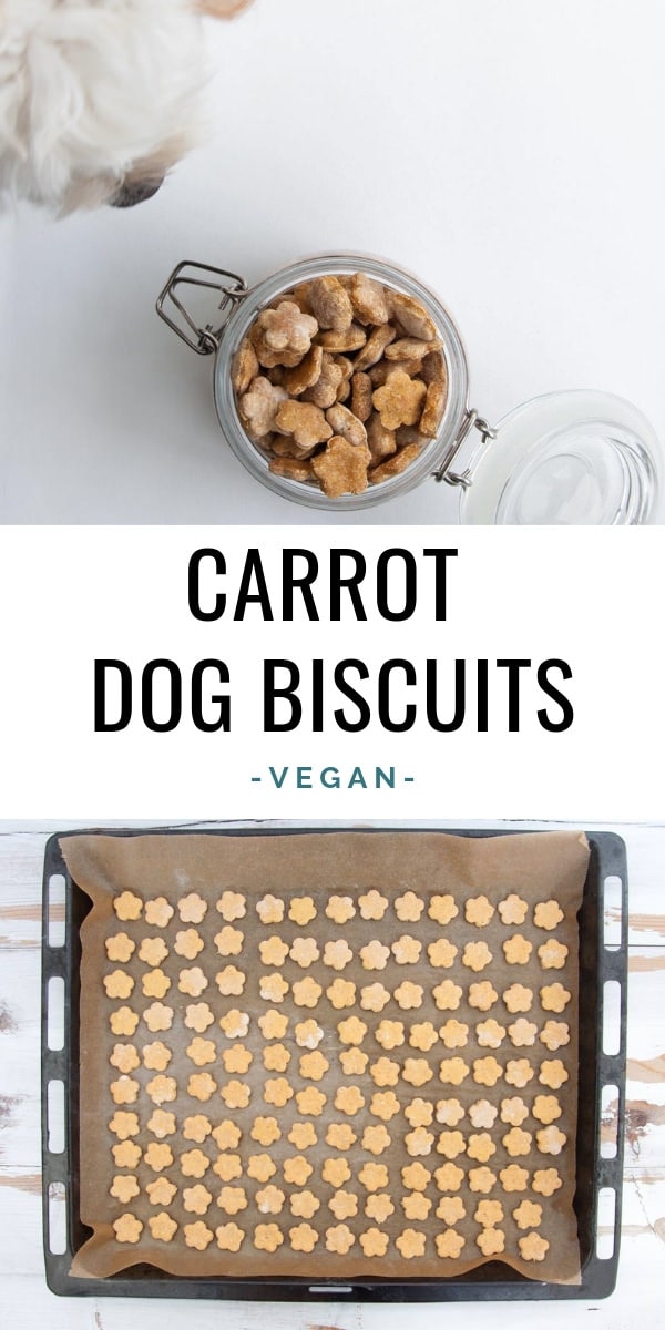 Carrot Dog Biscuits Recipe Elephantastic Vegan