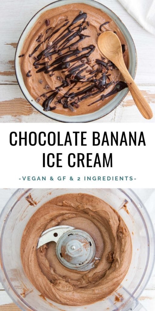 Chocolate Banana Ice Cream