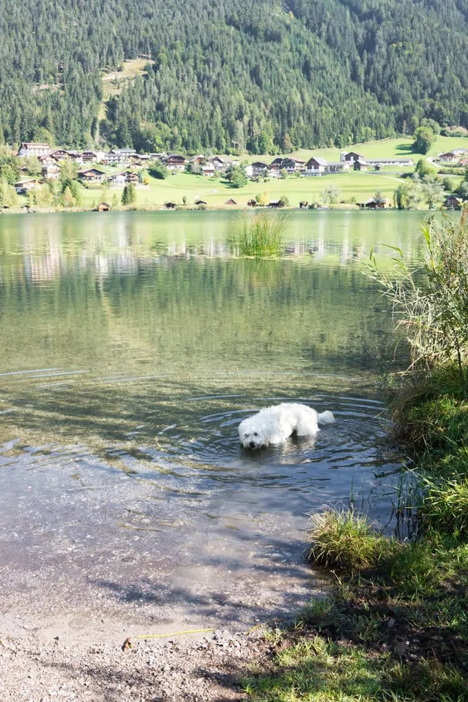 Weissensee