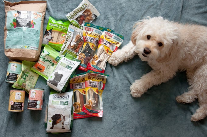 dog with vegan dog food and treats