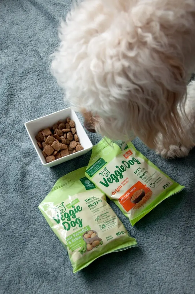 dog eating veggie dog kibble