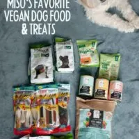 White Dog with vegan dog food and treats