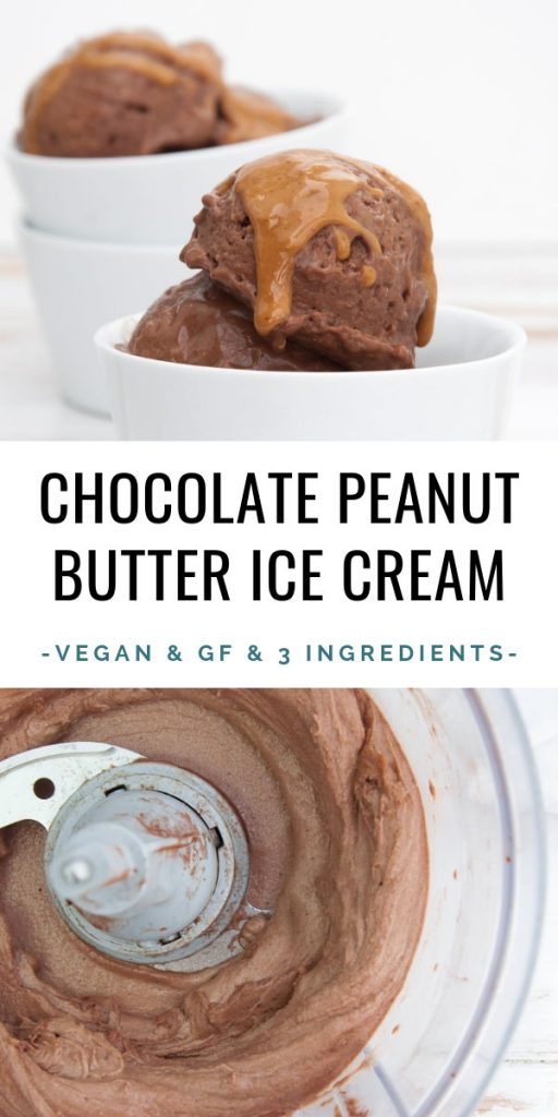 Vegan Chocolate Peanut Butter Ice Cream