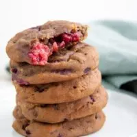 Sugar-Free Chocolate Cookies with Raspberries