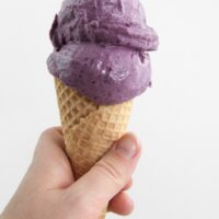 Vegan Blueberry Ice Cream in a cone