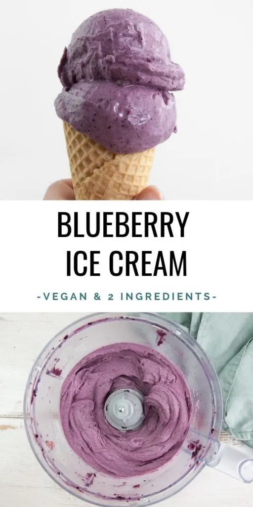 Vegan Blueberry Ice Cream