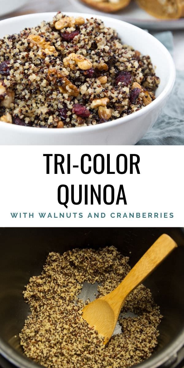 TriColor Quinoa with walnuts and cranberries Elephantastic Vegan