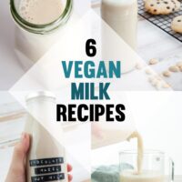 Vegan Milk Recipes