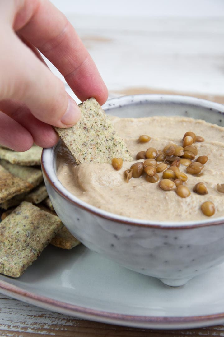 Lentil Hummus Recipe Elephantastic Vegan