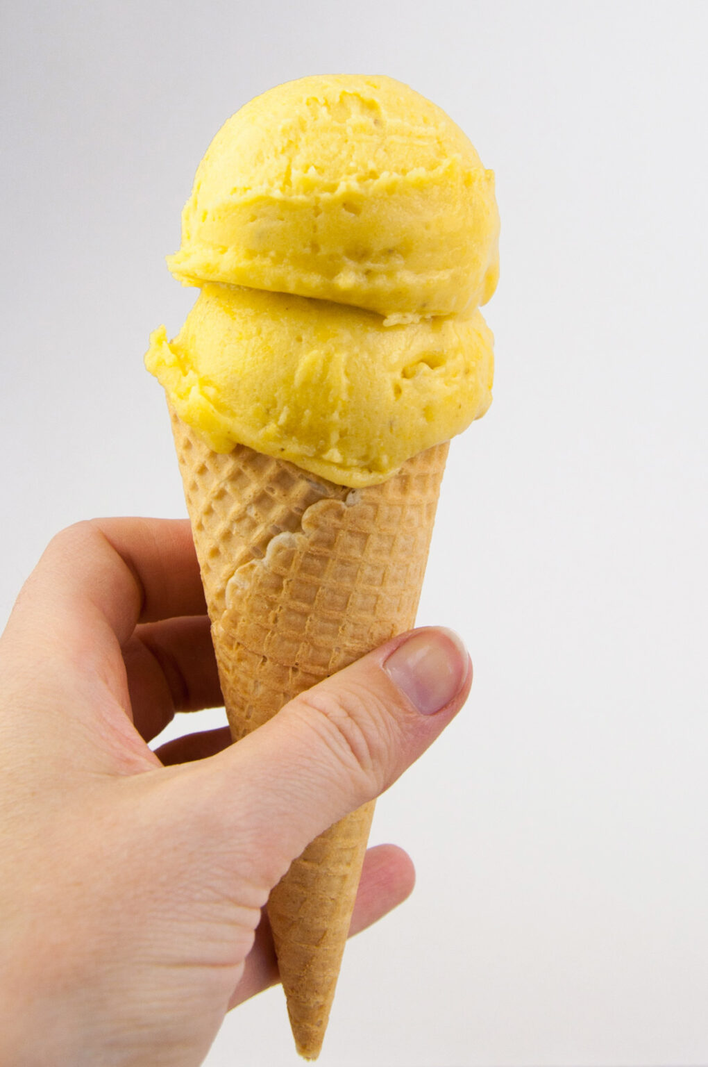 2Ingredient Vegan Mango Ice Cream Elephantastic Vegan