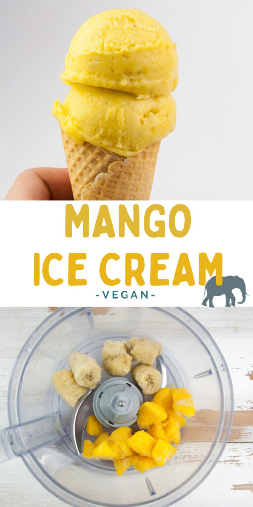 Vegan Mango Ice Cream