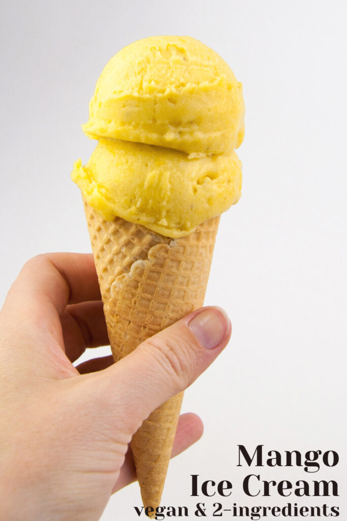 Vegan Mango Ice Cream