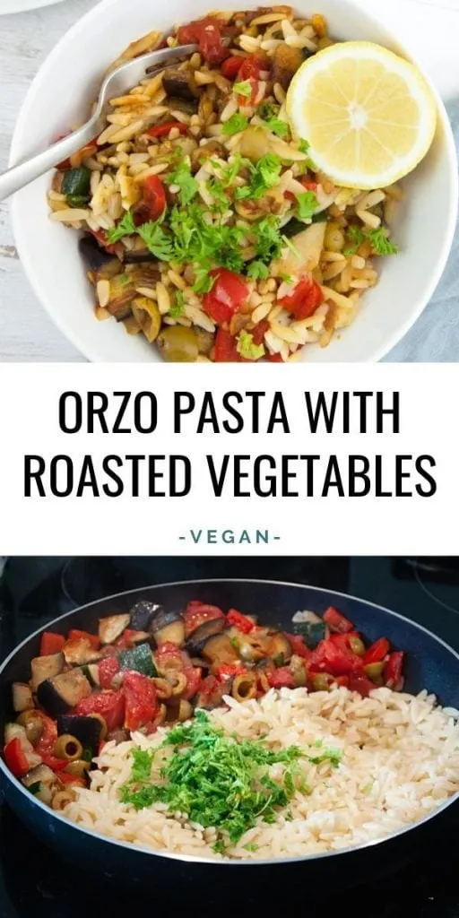 Orzo Pasta with Roasted Vegetables