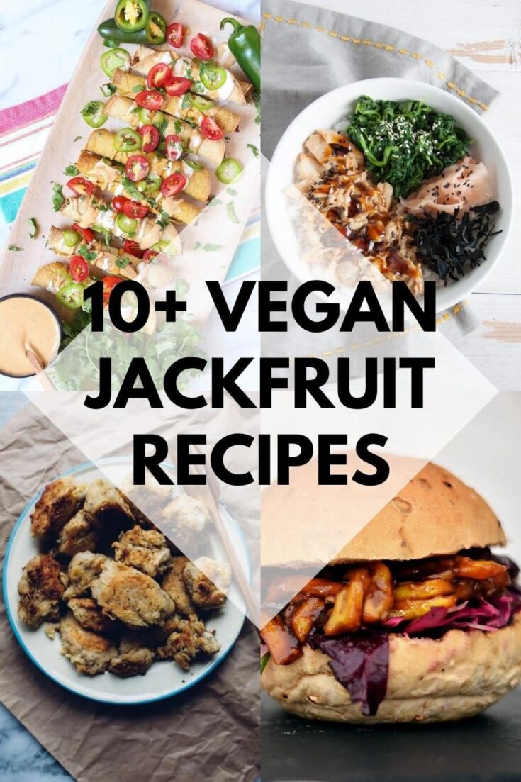 10+ Vegan Jackfruit Recipes You'll Love! | Elephantastic Vegan