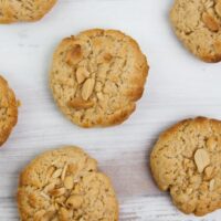 Vegan Peanut Butter Cookies