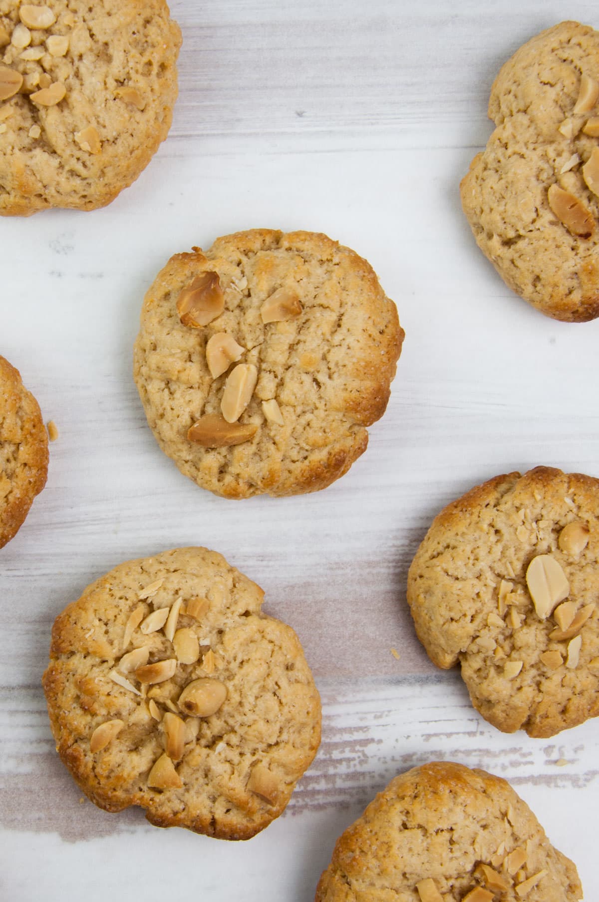 Vegan Peanut Butter Cookies