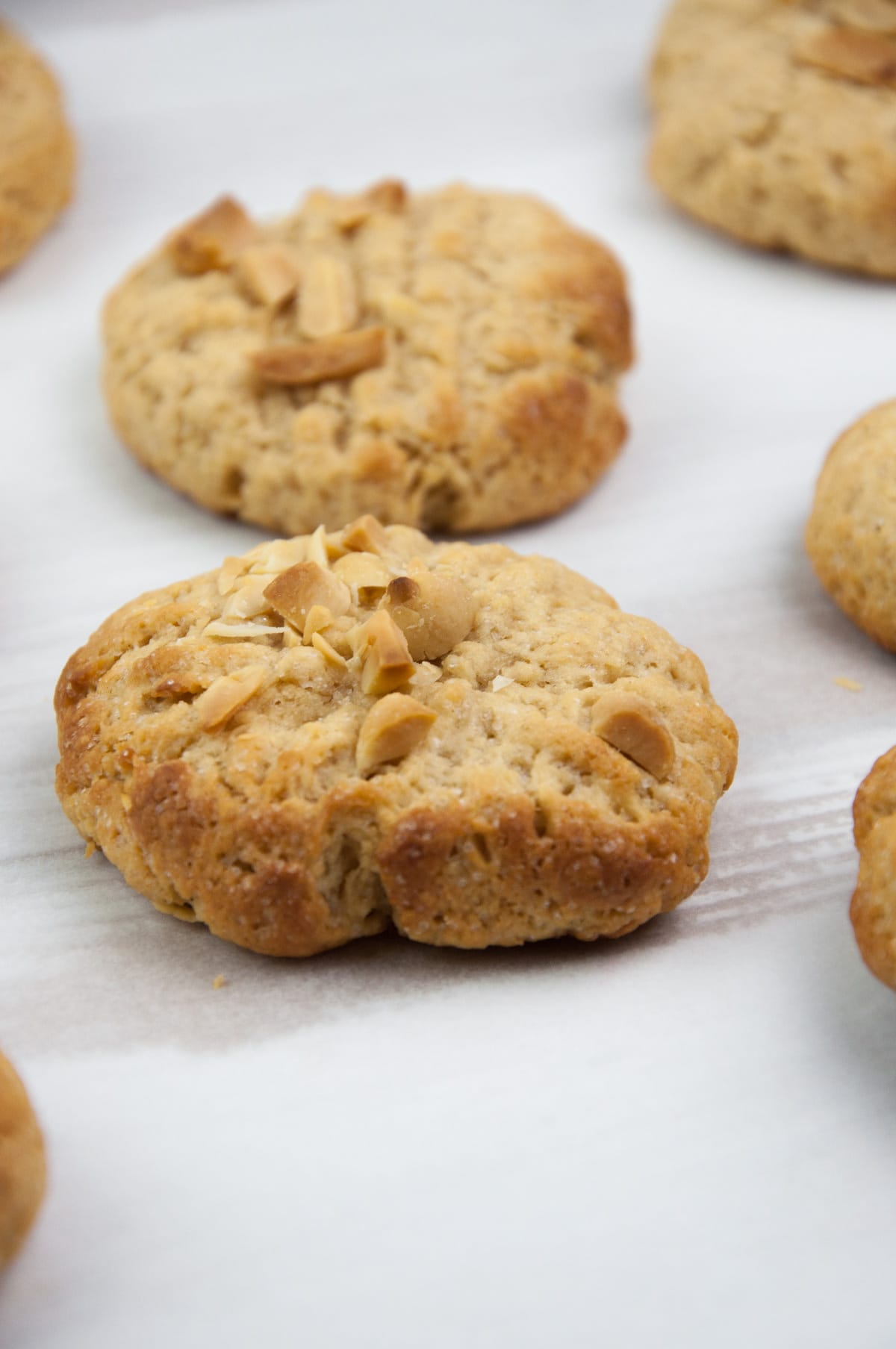 Vegan Peanut Butter Cookies