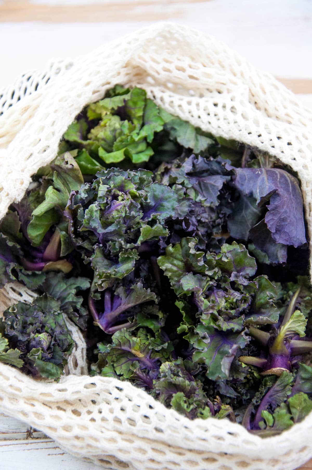 Kalettes - Flower Sprouts