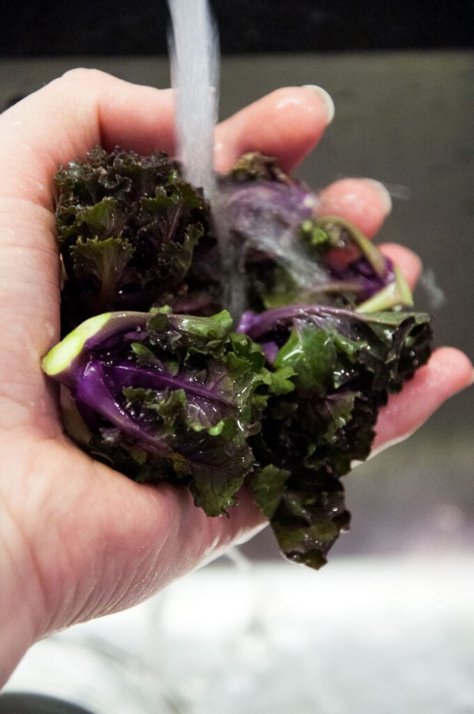 washing kalettes