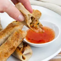 Vegan Spring Rolls