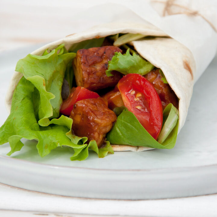 BBQ Tempeh Wrap Elephantastic Vegan