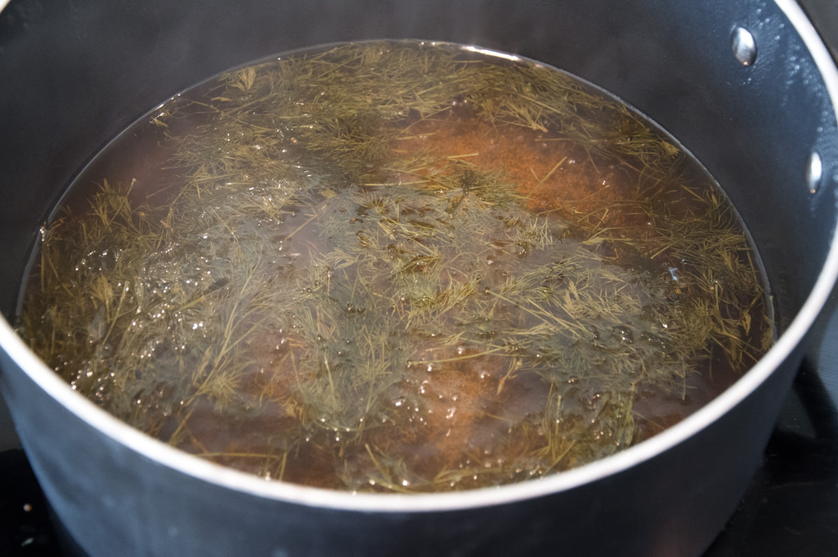 southern wormwood in sugar and water