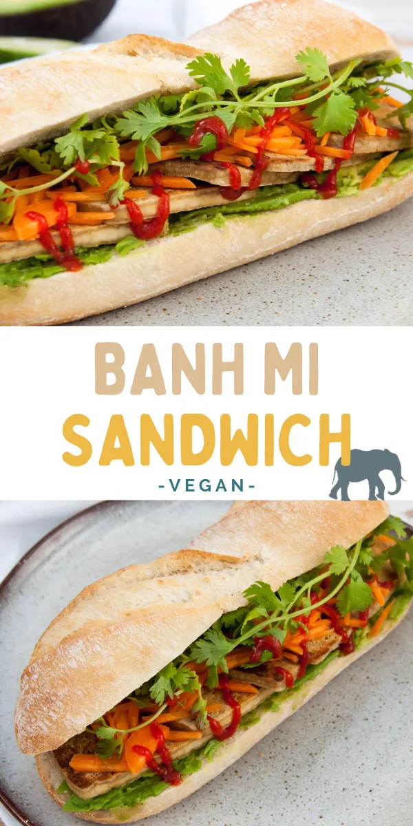 Vegan Banh Mi Sandwich