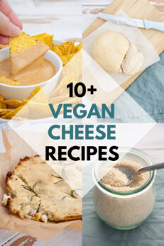 10+ Vegan Cheese Recipes - Elephantastic Vegan