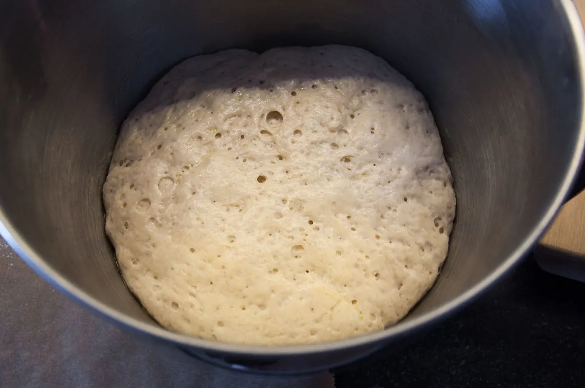 czech dumplings dough