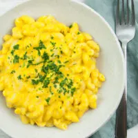 Vegan Pumpkin Mac and Cheese