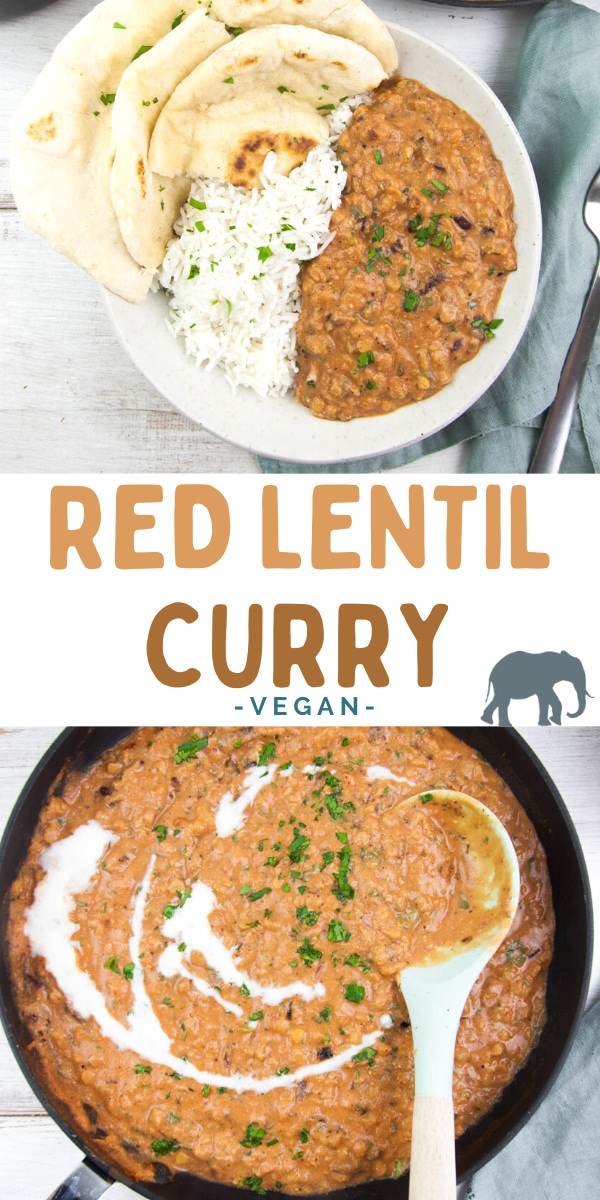 Vegan Red Lentil Curry