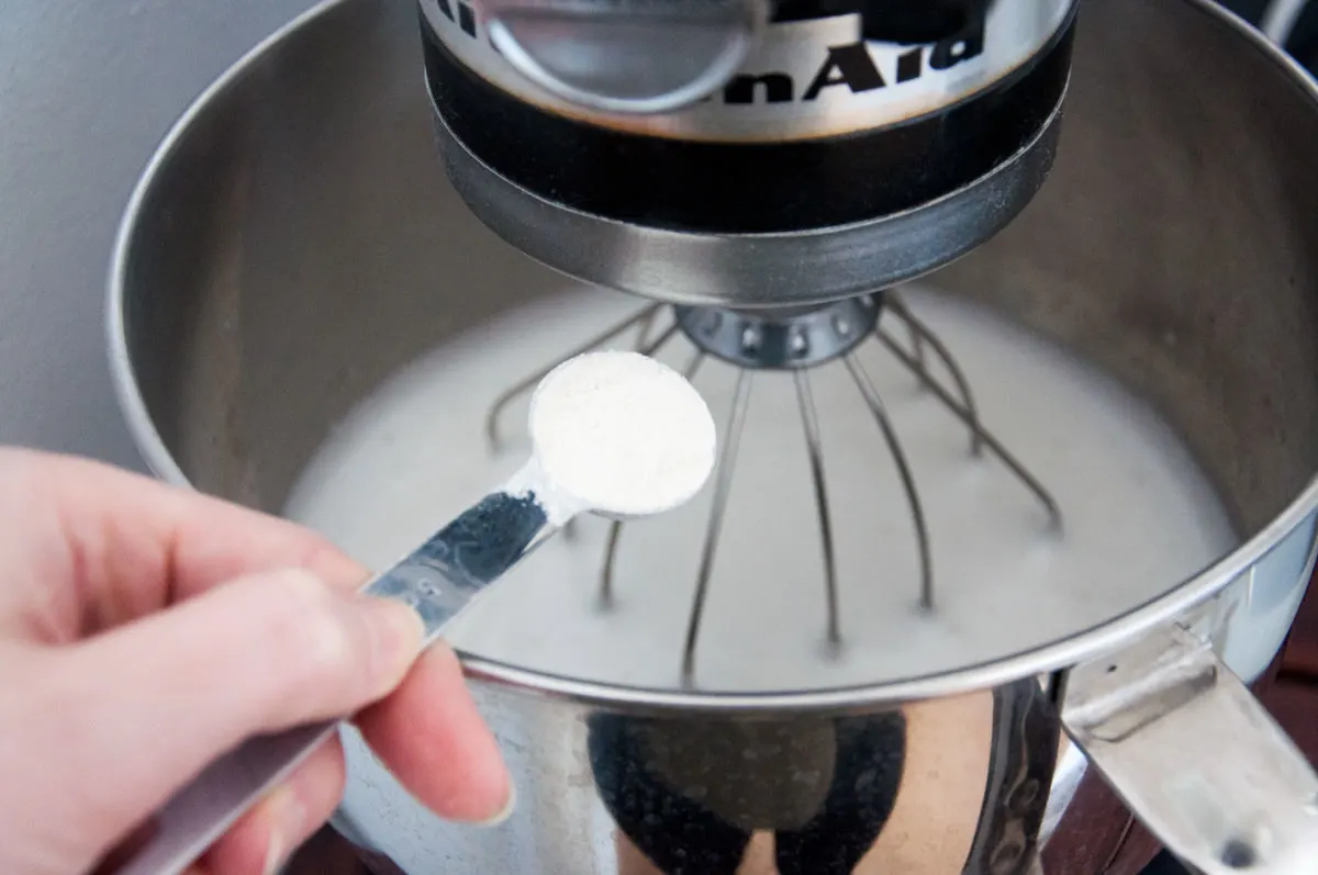 aquafaba and guar gum in stand mixer