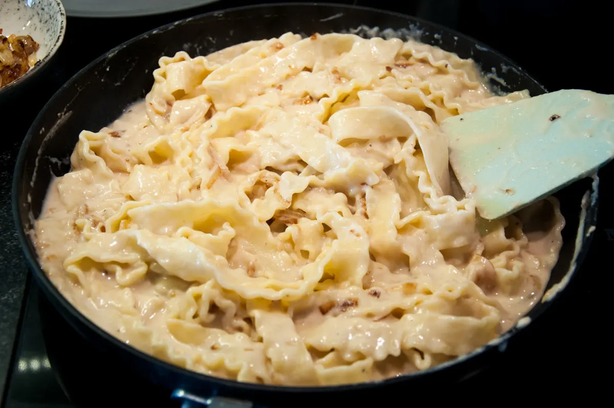 Caramelized Onion Pasta in a pan
