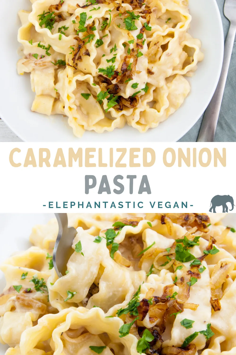 Caramelized Onion Pasta