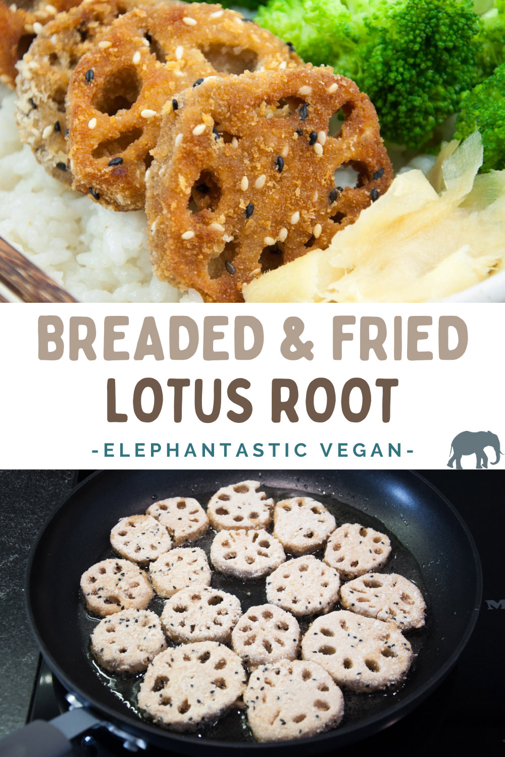 Breaded & Fried Lotus Root